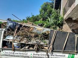 Junk Removal